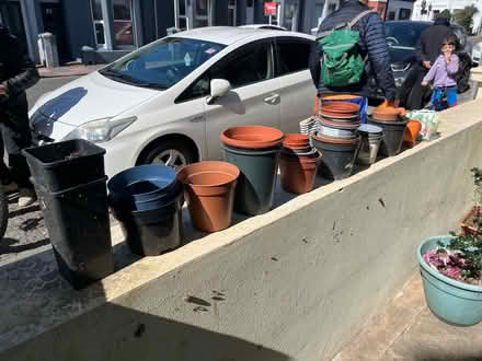 Photo of free Pots and seeds (BN1) #1