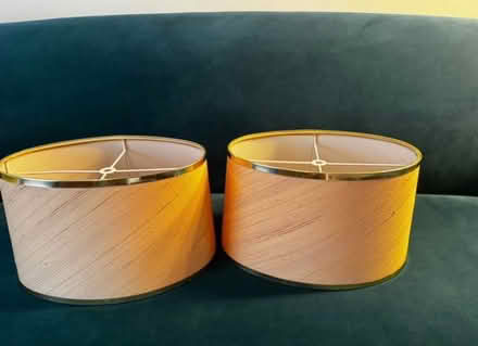 Photo of free Vintage Blush & Gold Lamp Shades (TN2 3HT) #3