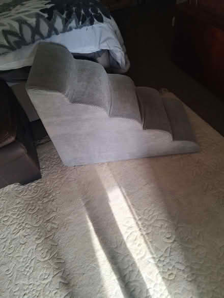 Photo of free Dog Ramp (CT11) #1