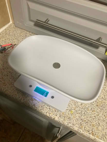 Photo of free Scales for kittens/small animals (Chester Road M15) #2