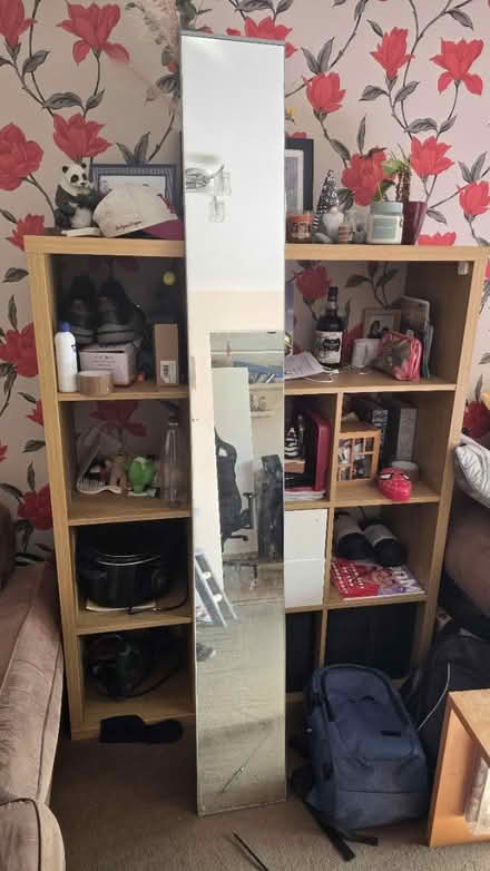 Photo of free IKEA wardrobe mirror door (Gosport, PO12) #1