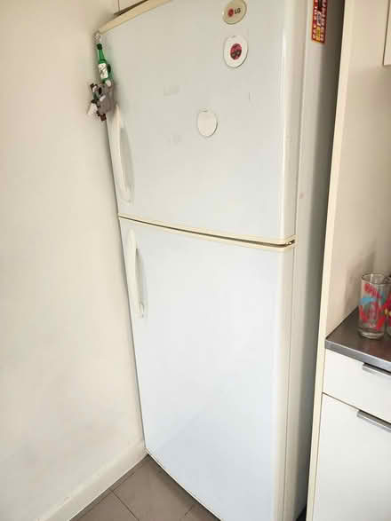 Photo of free Fridge #2 (20 coromandel place) #2