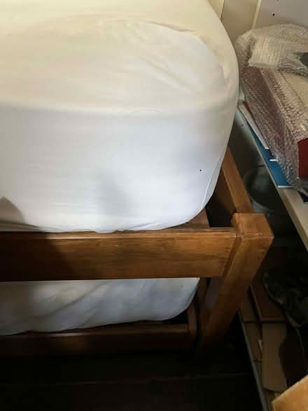 Photo of free Solid timber single beds with matching trundle trundle (Trefeglwys SY17) #2