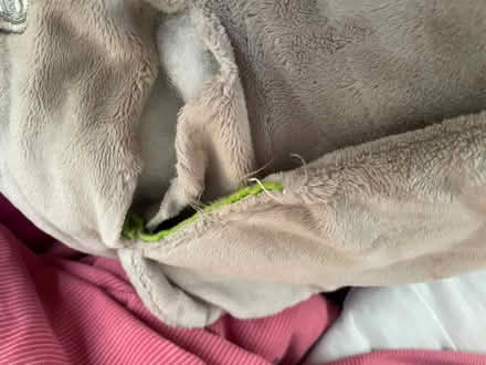 Photo of free Elephant soft toy (South Norwood SE25) #3