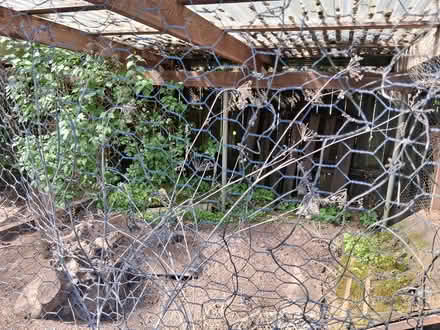 Photo of free Used chicken coop (River Road area) #2