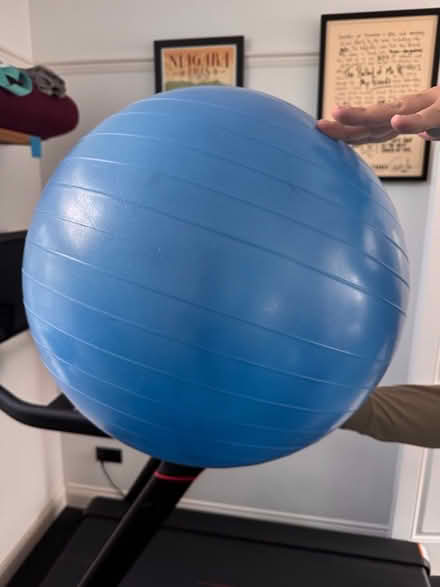 Photo of free Exercise Ball (Newington Green, Islington) #1