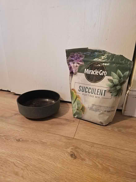 Photo of free Plastic pot & half bag of dirt (Stoneham) #1