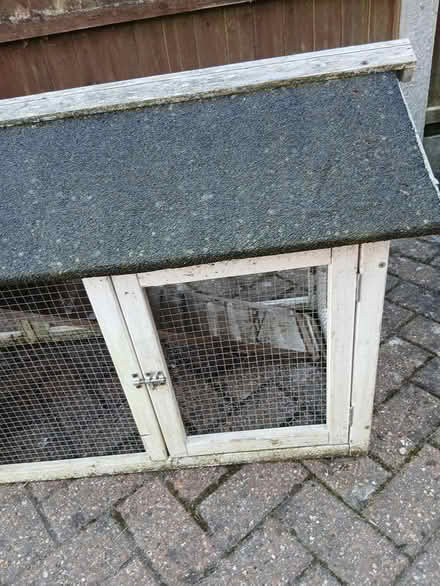 Photo of free Rabbit /Guinea pig Hutch (East bergholt CO7) #2