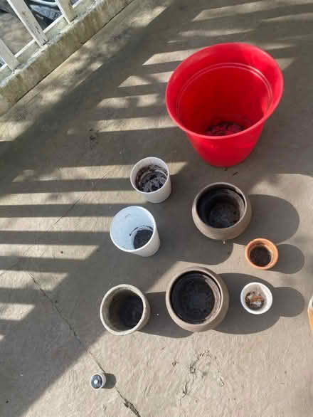 Photo of free Pots for plants (98178) #4