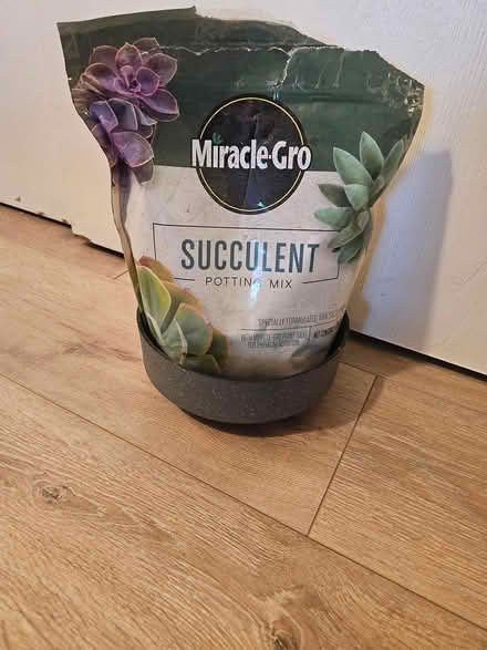 Photo of free Plastic pot & half bag of dirt (Stoneham) #3