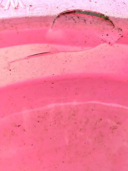 Photo of free Sand pit /paddling pool (Tilehurst) #3