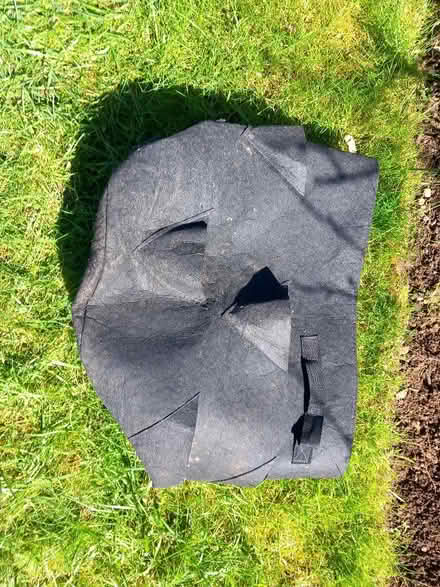 Photo of free Strawberry bag (Odd Down) #1