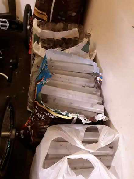 Photo of free Sapling protectors (Upton CH2) #2