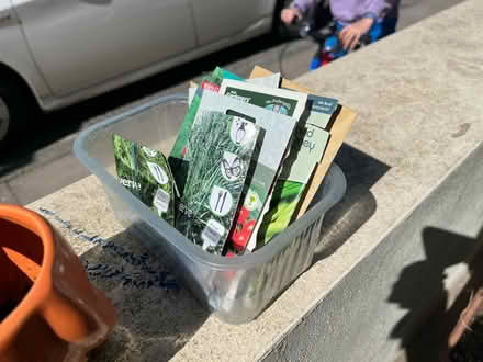 Photo of free Pots and seeds (BN1) #2