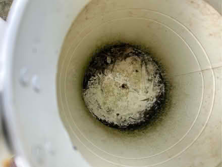 Photo of free White milk churn style planters (Bayston Hill SY3) #4