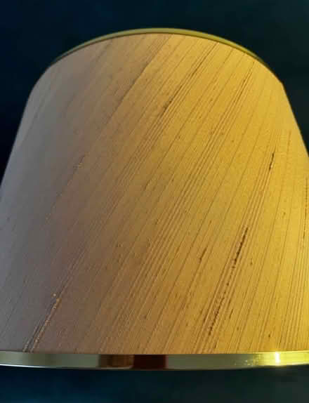 Photo of free Vintage Blush & Gold Lamp Shades (TN2 3HT) #2