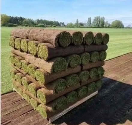 Photo of Turf (Caton LA2) #1