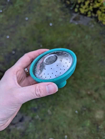 Photo of free Watering can rose one size (Matlock DE4) #1