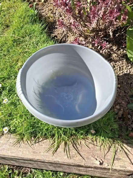 Photo of free Washing up bowl (Roffey, Horsham) #1