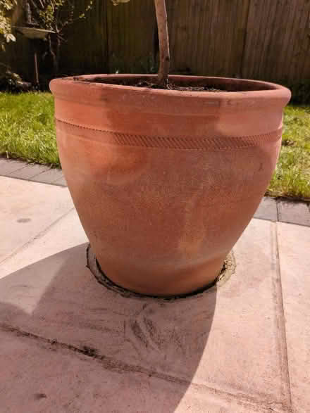 Photo of Terracotta Pots (South Milford LS25) #1