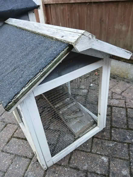 Photo of free Rabbit /Guinea pig Hutch (East bergholt CO7) #3