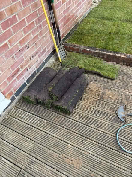 Photo of free 3 rolls brand new turf (Astley CV10) #1
