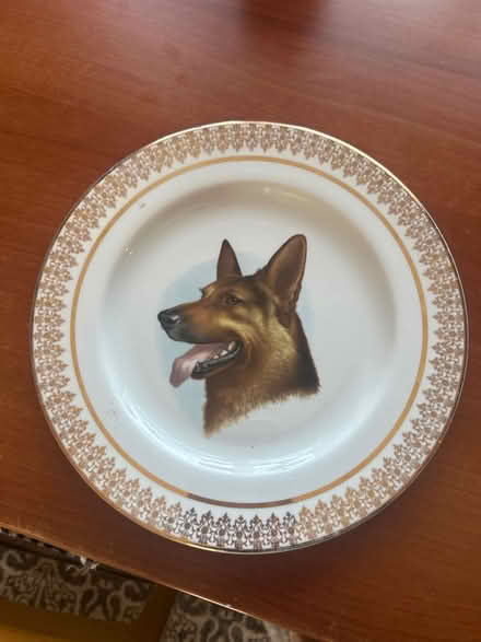 Photo of free Plate (Stonehouse GL10) #1