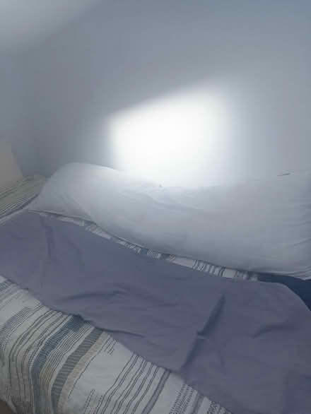 Photo of free Long pillow+ pillow case TW10 (Richmond upon Thames TW10) #1