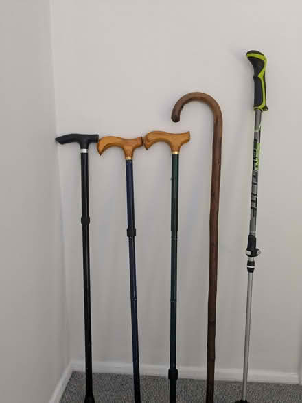 Photo of free Selection of walking sticks (Beulah Hill SE19) #1