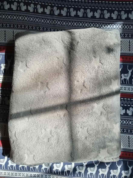 Photo of free Wilko supersoft throw (Beckenham hill) #1