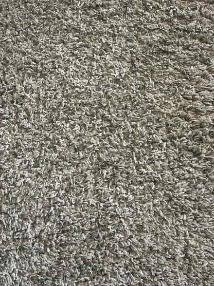 Photo of free Circular Green Rug (Comberton DY10) #3