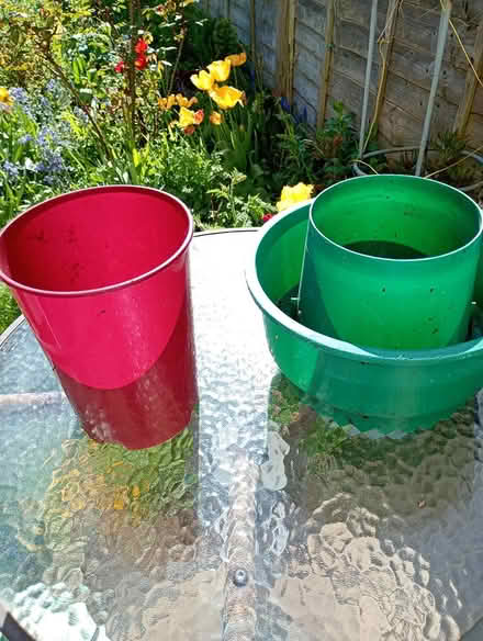 Photo of free Tall pot and tomato pot (Cowley Oxford) #1