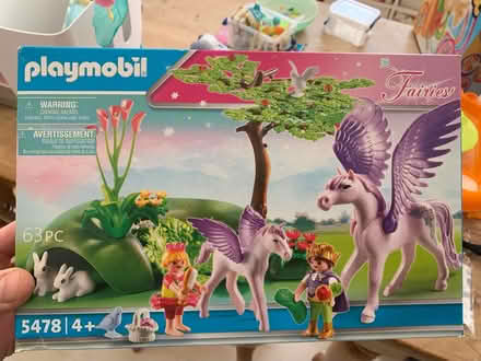 Photo of free Playmobile Fairies (Wood Street Village GU3) #1