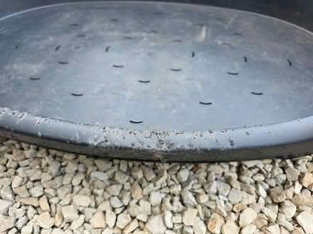 Photo of free Dog beds (GL10) #2