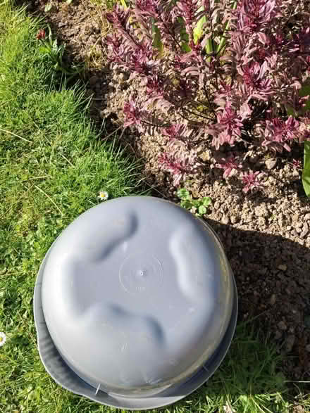 Photo of free Washing up bowl (Roffey, Horsham) #2