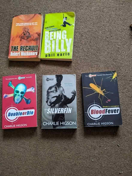 Photo of free Books for ages approx 8-11 and 12-14 (Old Woking GU22) #2