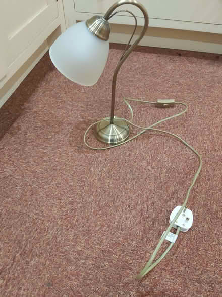 Photo of free Table lamp/bedside lamp (Bishops Wood ST19) #1