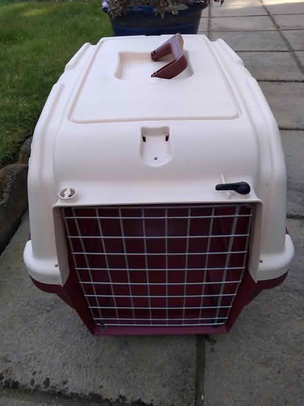 Photo of free Cat accessories (Thanington, Canterbury CT1) #2