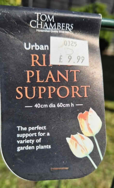 Photo of free Plant support (Weston-super-Mare BS23) #1