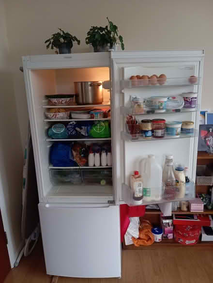 Photo of free Fridge (Whitehawk BN2) #3
