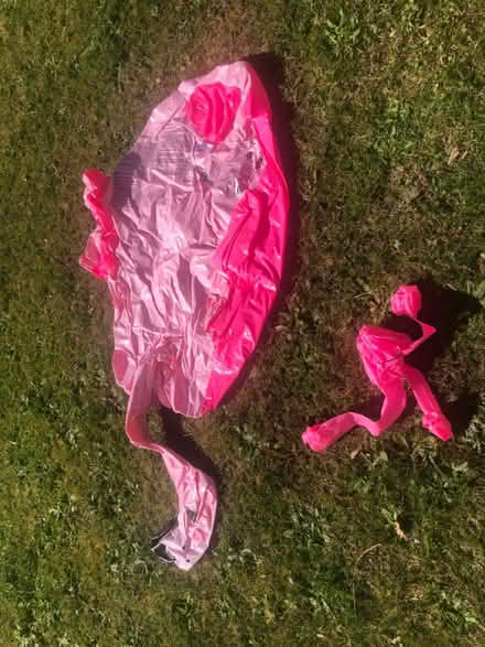 Photo of free Pool / beach toys (Ware SG12) #2