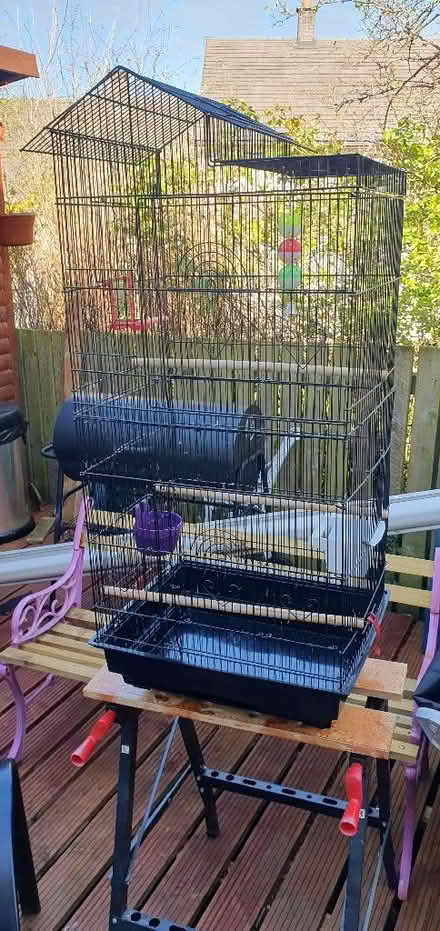 Photo of free Bird cages there are two so take one or both plus food (Ridge LA1) #1