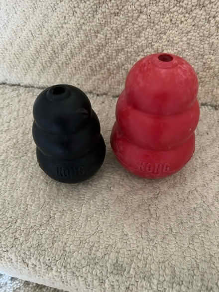 Photo of free 2 kongs (RG7 3HY) #1
