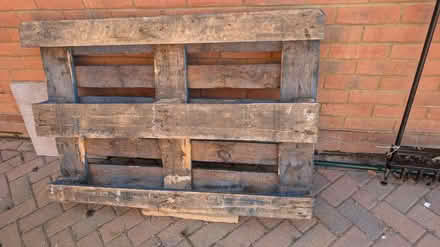 Photo of free Pallet (BN27) #1