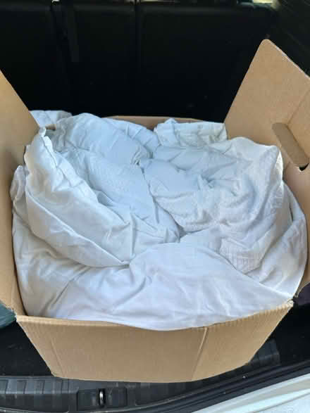 Photo of free Kingsize Duvet & Mattress Protector (Ingatestone CM4) #2