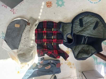 Photo of free Dog sweaters (Graduate Hospital) #1