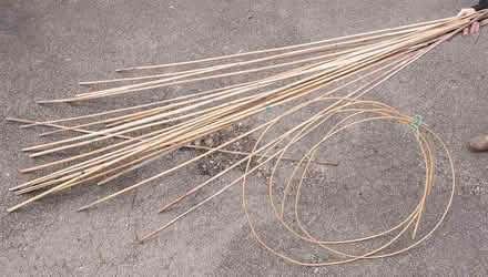 Photo of free Garden Bamboo Canes (Chester CH3) #1