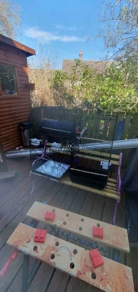 Photo of free Bird cages there are two so take one or both plus food (Ridge LA1) #3