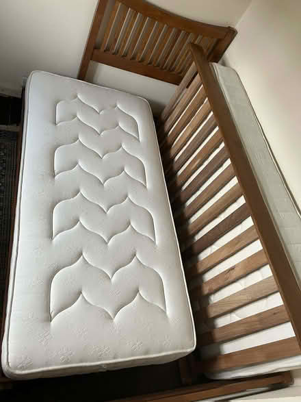 Photo of free Solid timber single beds with matching trundle trundle (Trefeglwys SY17) #3
