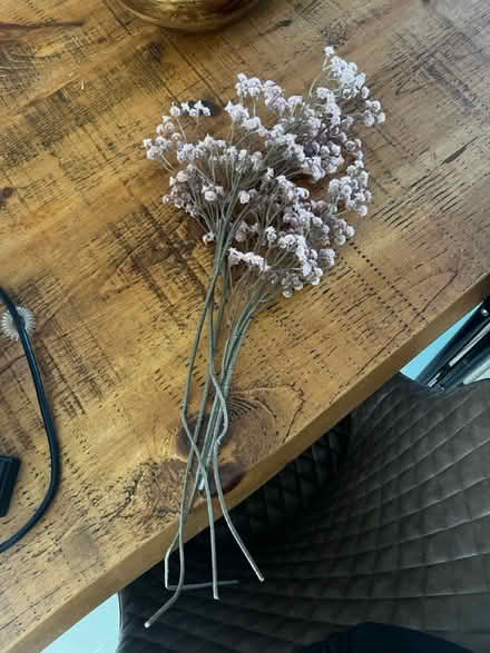Photo of free Fake pink flowers (Queens Park) #1